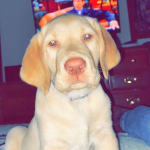 Meet your Posher, Matthew